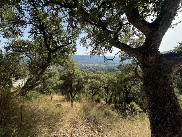 Bauplatz zu verkaufen in Santa Cristina d'Aro - 89.000 € (Ref: 8756203)