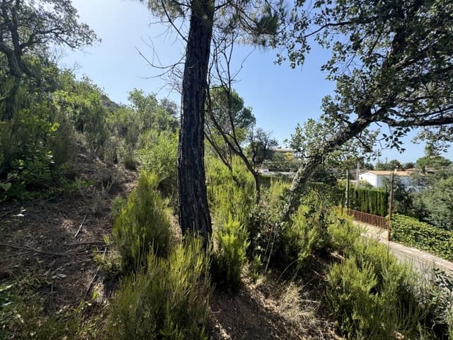 Byggegrund til salg i Santa Cristina d'Aro - € 150.000 (Ref: 8757957)