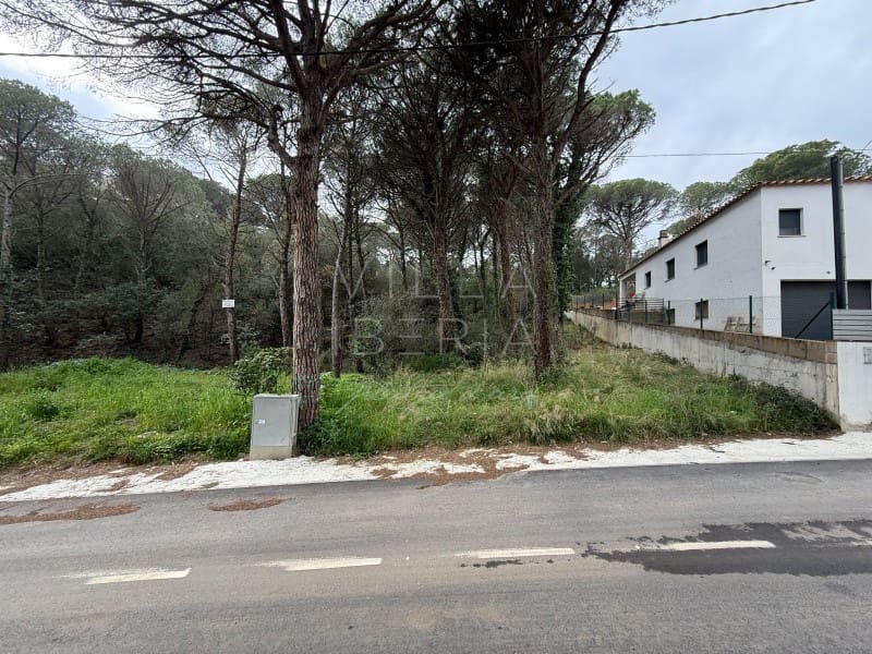 Building Plot for sale in Calonge i Sant Antoni - € 69,000 (Ref: 8823053)