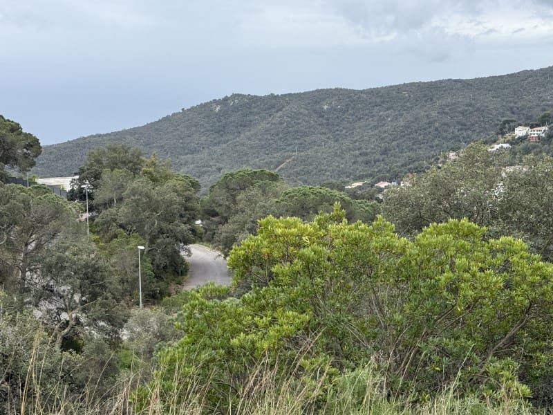 Tontti myytävänä paikassa Calonge i Sant Antoni - 58 000 € (Ref: 8935381)