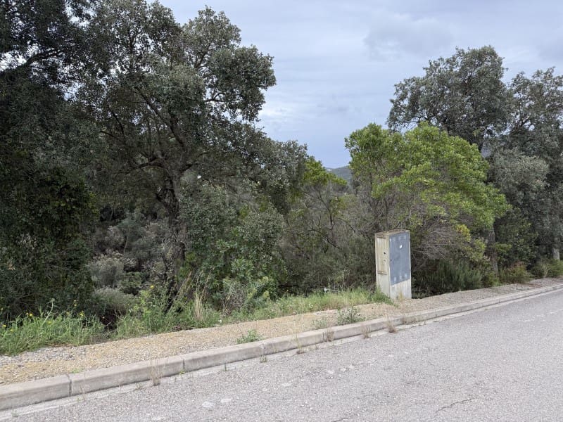 Tontti myytävänä paikassa Calonge i Sant Antoni - 58 000 € (Ref: 8935381)