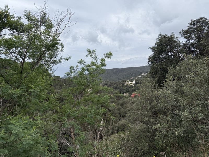 Tontti myytävänä paikassa Calonge i Sant Antoni - 58 000 € (Ref: 8935381)