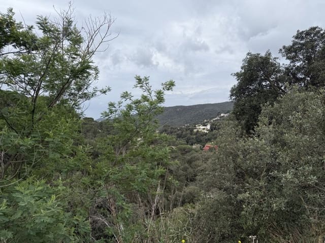 Building Plot for sale in Calonge i Sant Antoni - € 58,000 (Ref: 8935381)