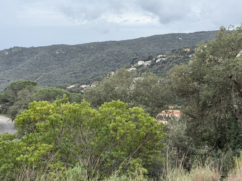 Tontti myytävänä paikassa Calonge i Sant Antoni - 58 000 € (Ref: 8935381)