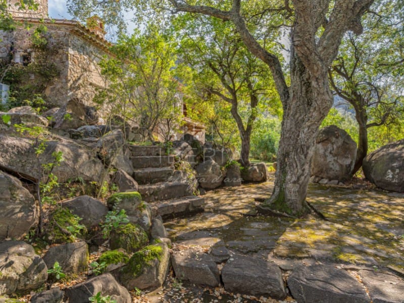 5 chambre Villa/Maison à vendre à Santa Cristina d'Aro avec piscine garage - 1 795 000 € (Ref: 9134642)