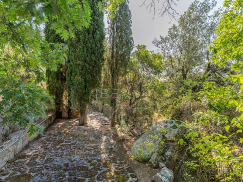 5 chambre Villa/Maison à vendre à Santa Cristina d'Aro avec piscine garage - 1 795 000 € (Ref: 9134642)