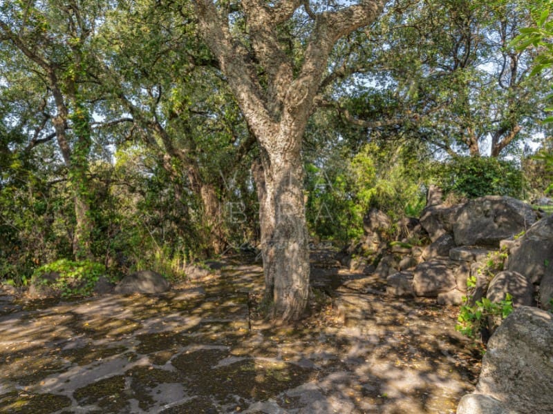 5 chambre Villa/Maison à vendre à Santa Cristina d'Aro avec piscine garage - 1 795 000 € (Ref: 9134642)