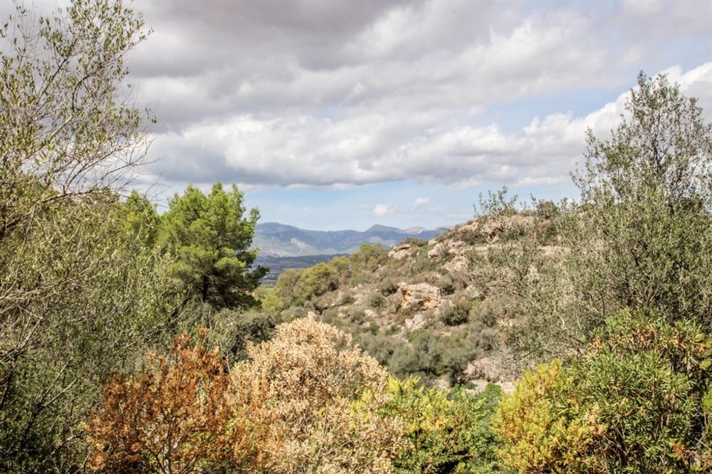 4 bedroom Townhouse for sale in Santa Eugenia - € 1,225,000 (Ref: 8520862)