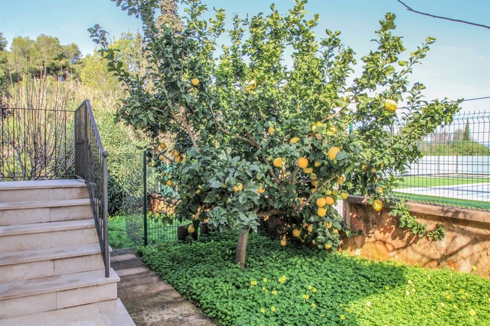 4 soverom Villa til salgs i Alcudia - € 950 000 (Ref: 8828198)