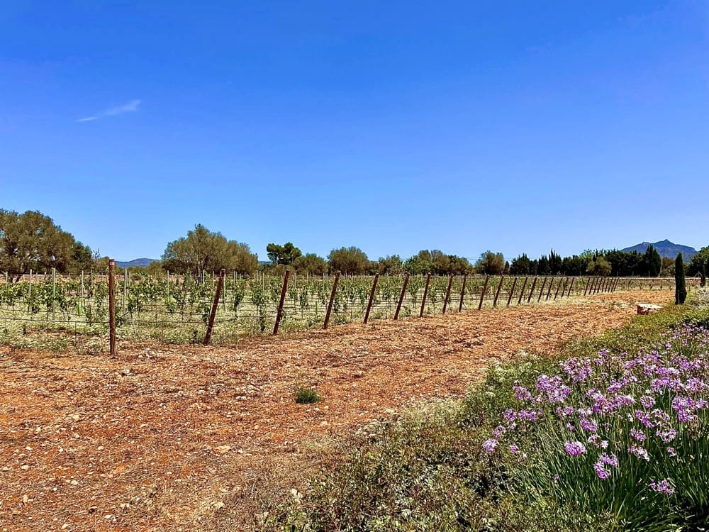 5 soverom Finca/Herregård til salgs i Porreres - € 4 950 000 (Ref: 8936381)