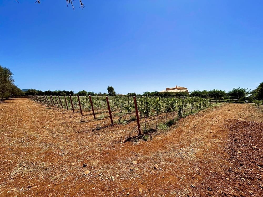 5 soverom Finca/Herregård til salgs i Porreres - € 4 950 000 (Ref: 8936381)