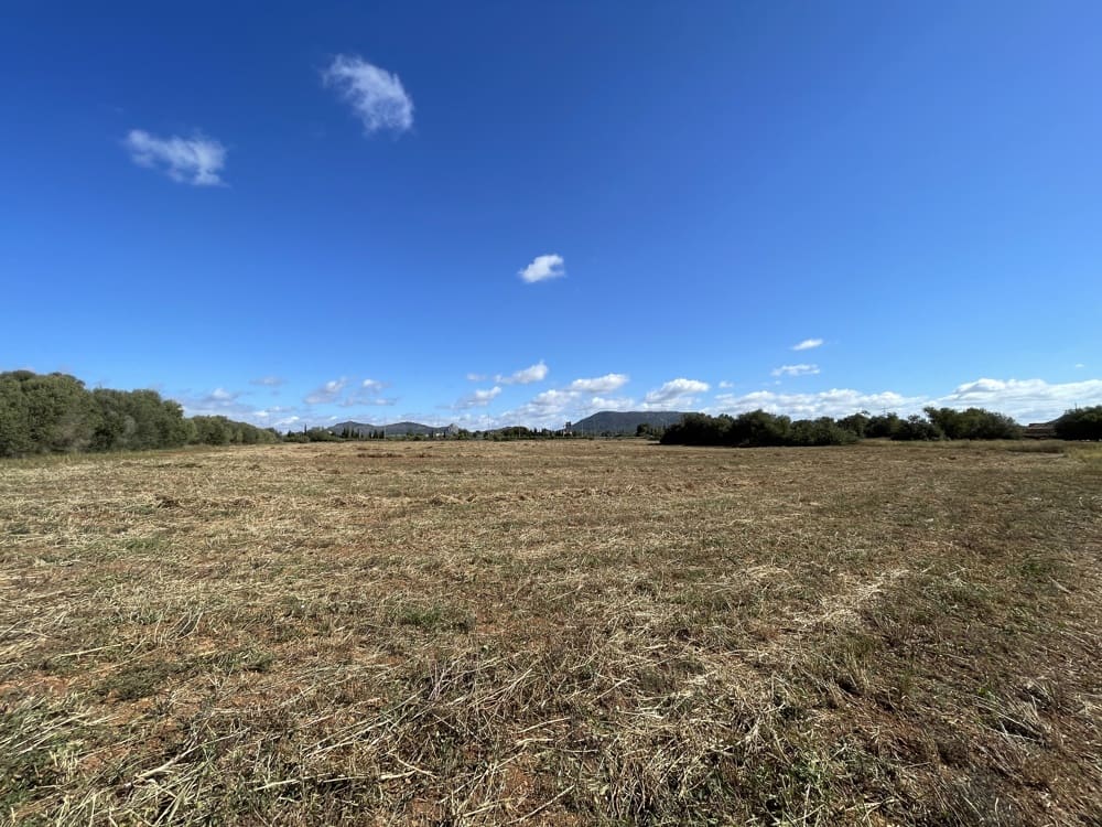 Ubebygd land til salgs i Llucmajor - € 750 000 (Ref: 9082760)