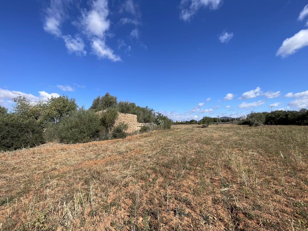 Ubebygd land til salgs i Llucmajor - € 750 000 (Ref: 9082760)