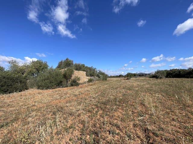 Undeveloped Land for sale in Llucmajor - € 750,000 (Ref: 9082760)