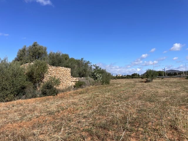 Undeveloped Land for sale in Llucmajor - € 750,000 (Ref: 9082760)