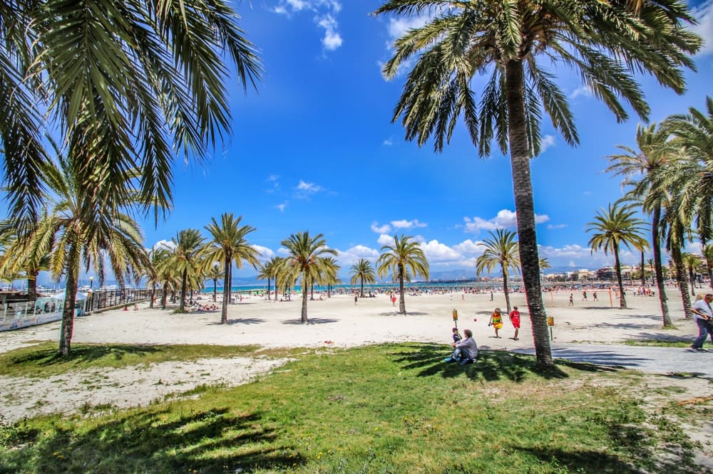 24 soveværelse Hotel til salg i L'Arenal / S'Arenal - € 3.950.000 (Ref: 9101814)