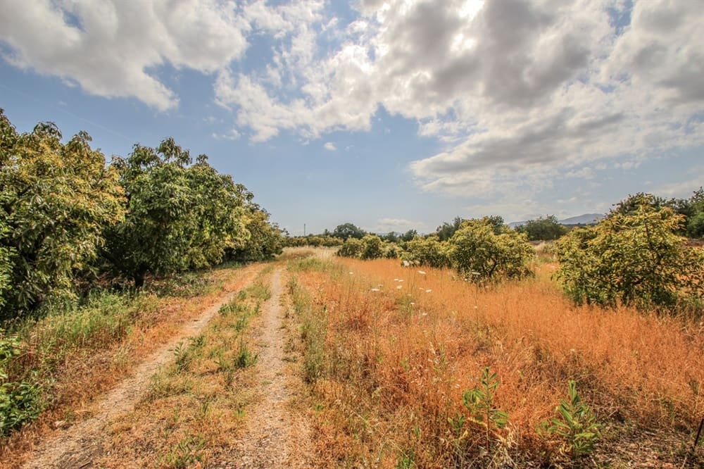 4 sypialnia Willa na sprzedaż w Son Sardina - 1 995 000 € (Ref: 9125940)