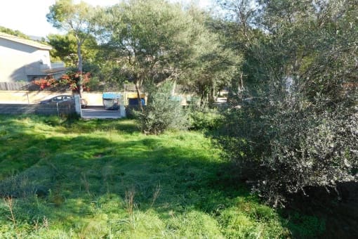 Undeveloped Land for sale in Palmanova, Calvià - € 870,000 (Ref: 9164347)
