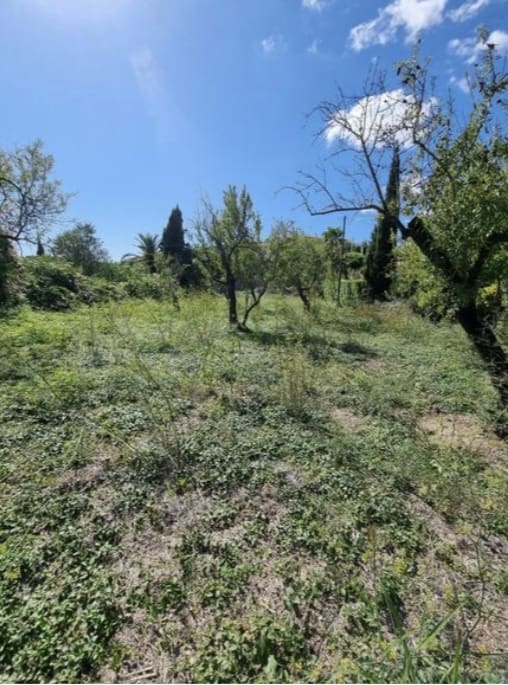 Teren niezagospodarowany na sprzedaż w Calvia - 725 000 € (Ref: 9184007)