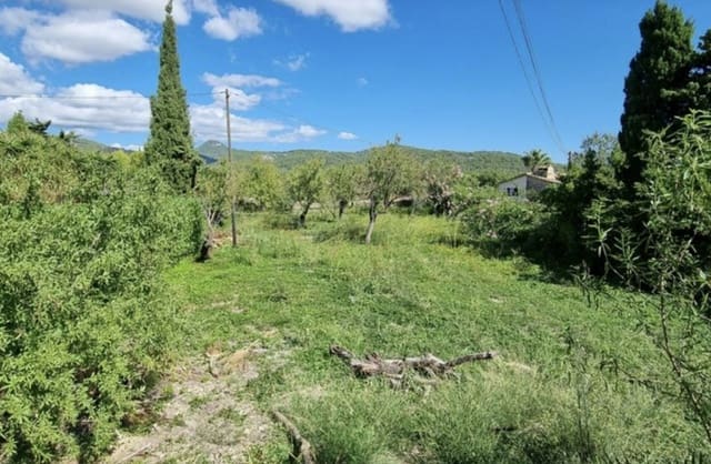 Teren niezagospodarowany na sprzedaż w Calvià Pueblo, Calvià - 725 000 € (Ref: 9184007)