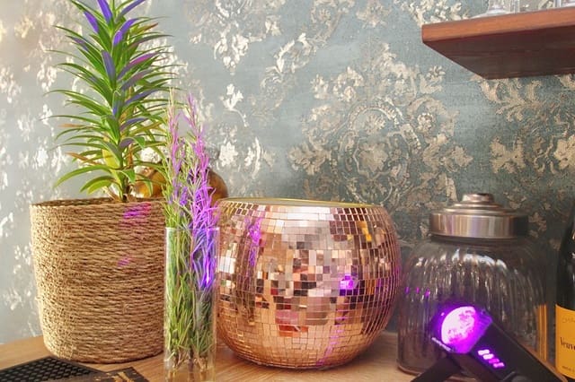 Erhverv til salg i Peguera / Paguera, Calvià - € 259.000 (Ref: 9235743)