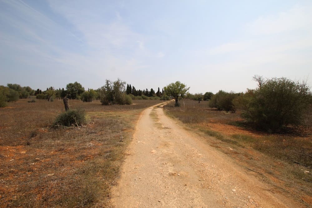Undeveloped Land for sale in Llucmajor - € 249,000 (Ref: 9401767)