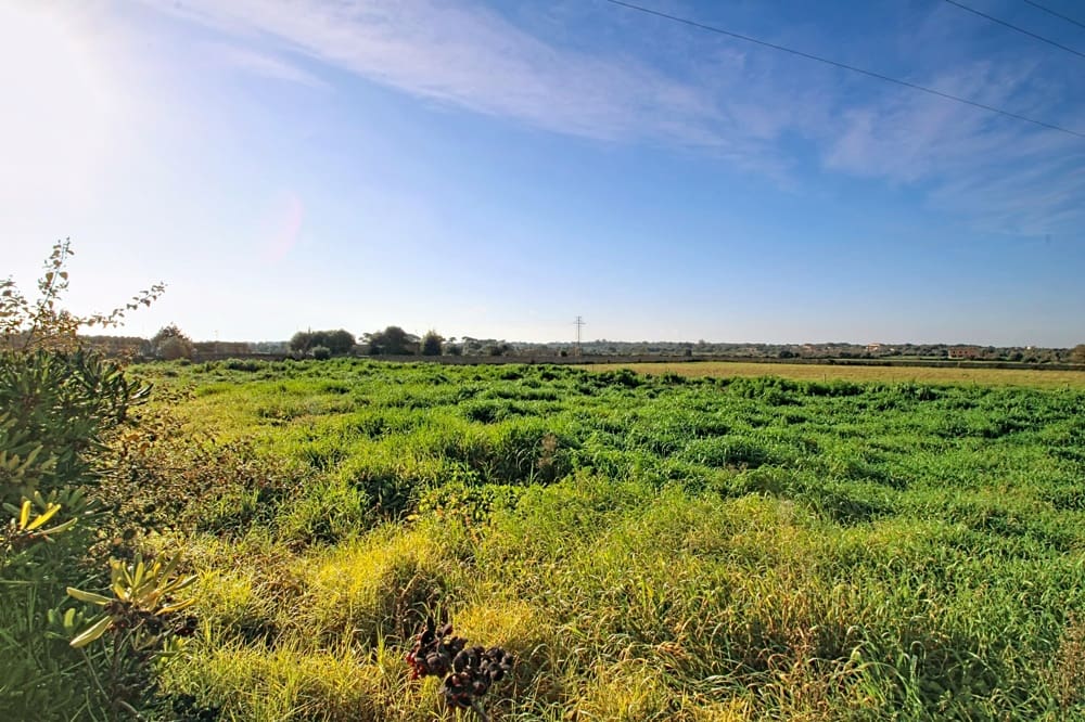 9 sypialnia Willa na sprzedaż w Santanyi - 5 250 000 € (Ref: 9532440)