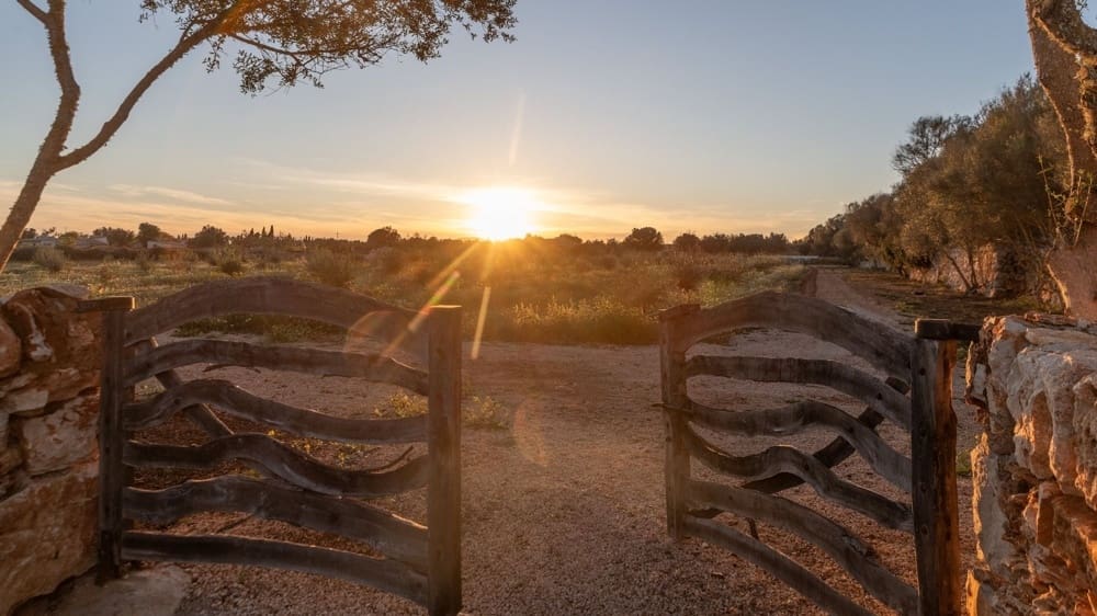 5 chambre Finca/Maison de Campagne à vendre à Porreres - 4 495 000 € (Ref: 9708126)