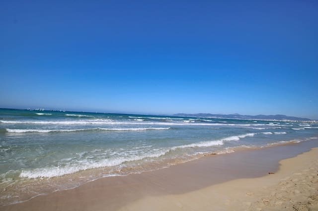 Ático de 1 habitación en Platja de Palma i Pla de Sant Jordi, Palma de Mallorca en venta - 470.000 € (Ref: 9727520)