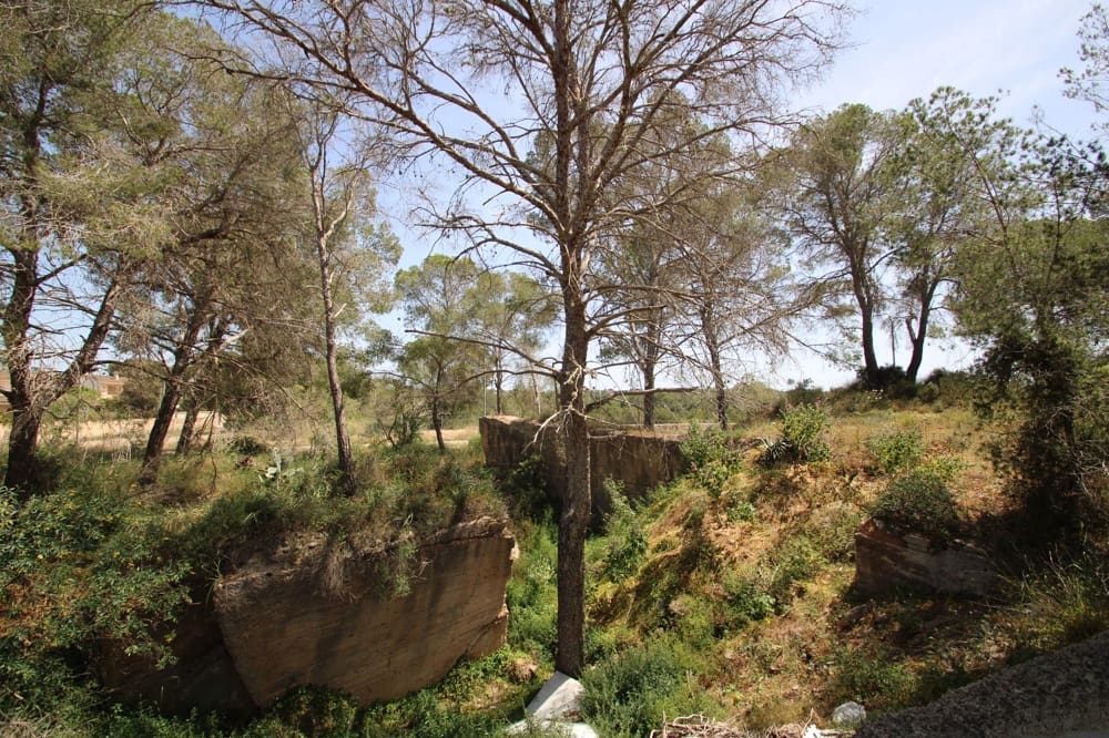 Terreno/Finca Rústica en L'Arenal / S'Arenal en venta - 350.000 € (Ref: 9806779)