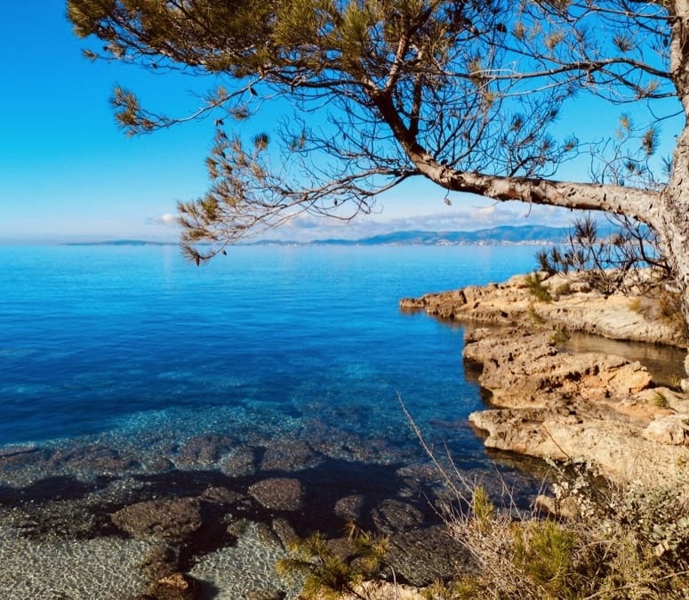 Chalet de 4 habitaciones en Badia Blava en venta - 8.800.000 € (Ref: 9806780)