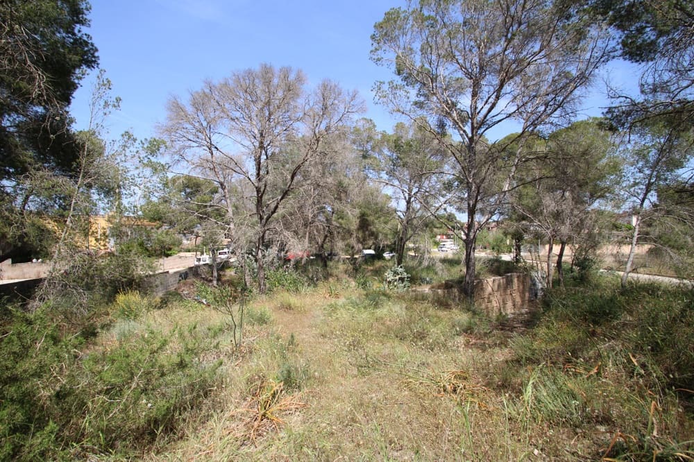Undeveloped Land for sale in L'Arenal / S'Arenal - € 295,000 (Ref: 9810393)