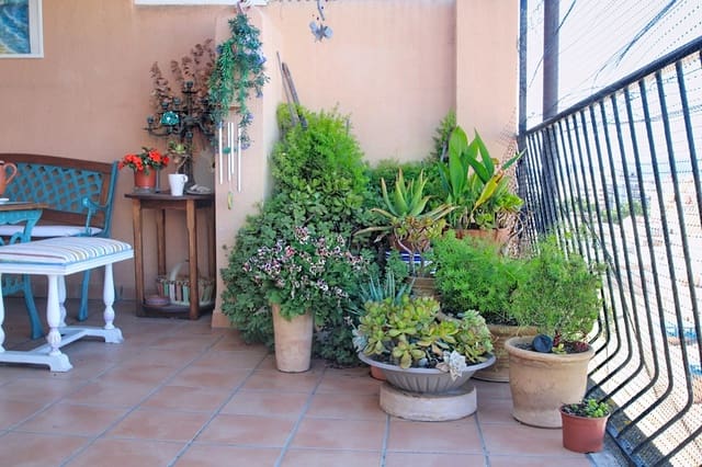 4 soveværelse Lejlighed til salg i Cort, Palma de Mallorca - € 750.000 (Ref: 9838657)