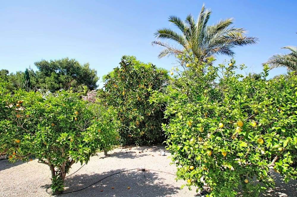 4 soveværelse Byhus til salg i Santa Ponsa - € 1.995.000 (Ref: 9877235)