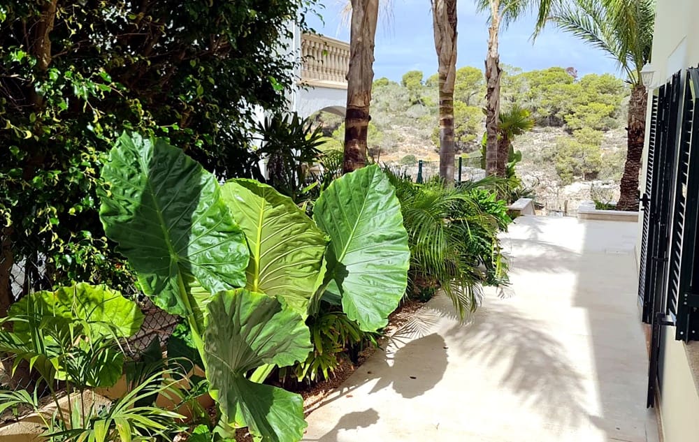 3 soveværelse Villa til salg i Cala Pi - € 1.390.000 (Ref: 9984105)