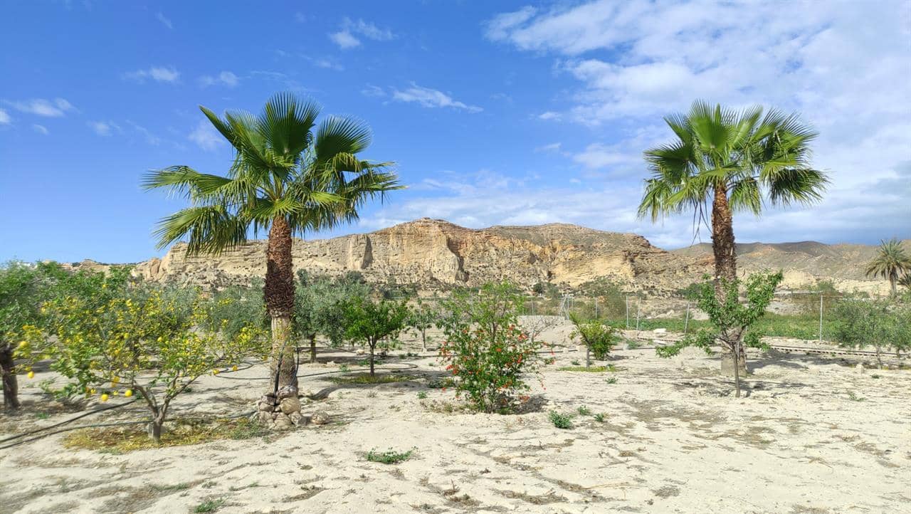 Byggetomt til salgs i Cuevas del Almanzora - € 55 000 (Ref: 6036632)