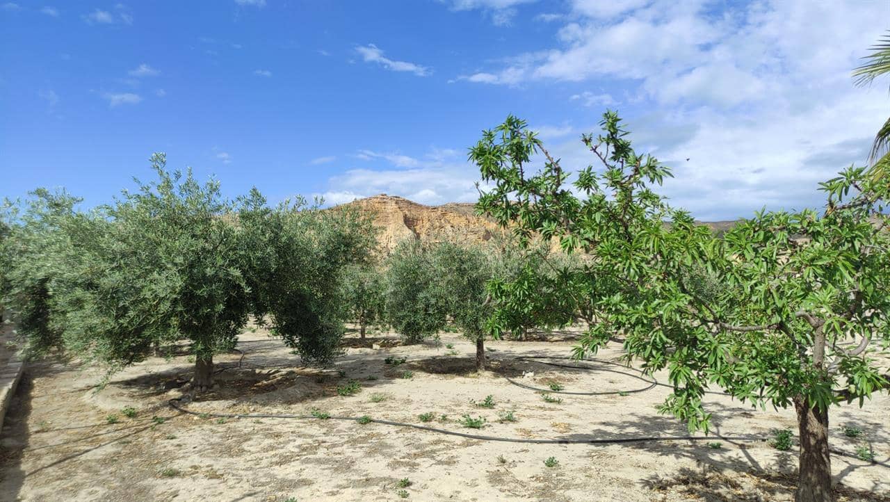 Byggetomt til salgs i Cuevas del Almanzora - € 55 000 (Ref: 6036632)