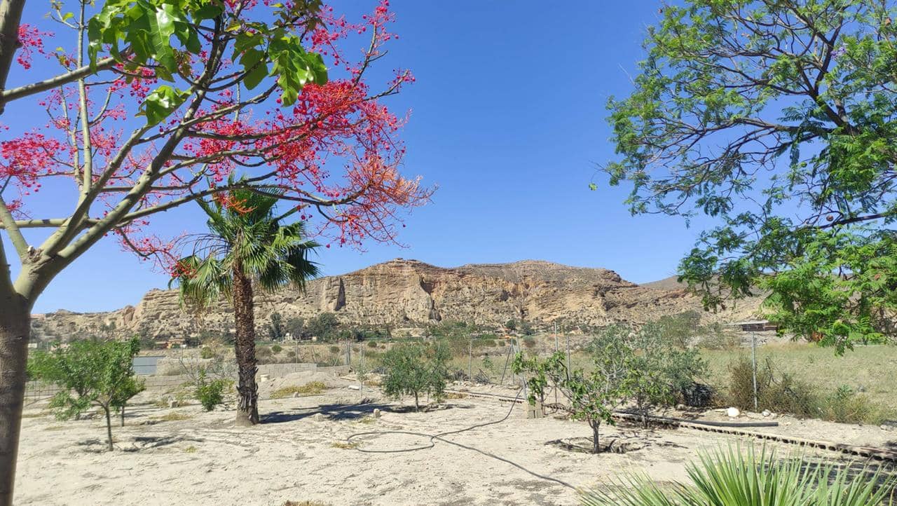 Byggetomt til salgs i Cuevas del Almanzora - € 55 000 (Ref: 6036632)