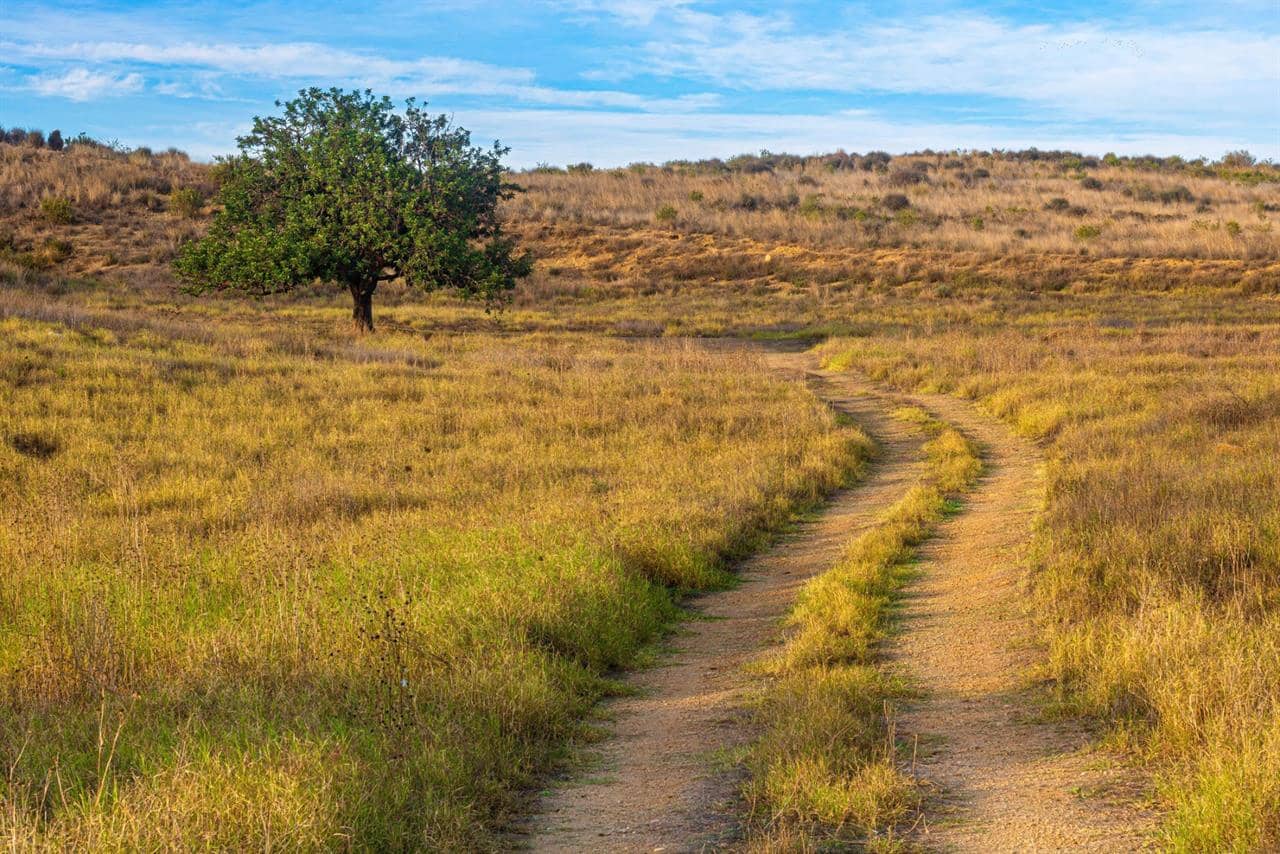 3 chambre Villa/Maison à vendre à Condado de Alhama avec piscine - 318 500 € (Ref: 8197794)