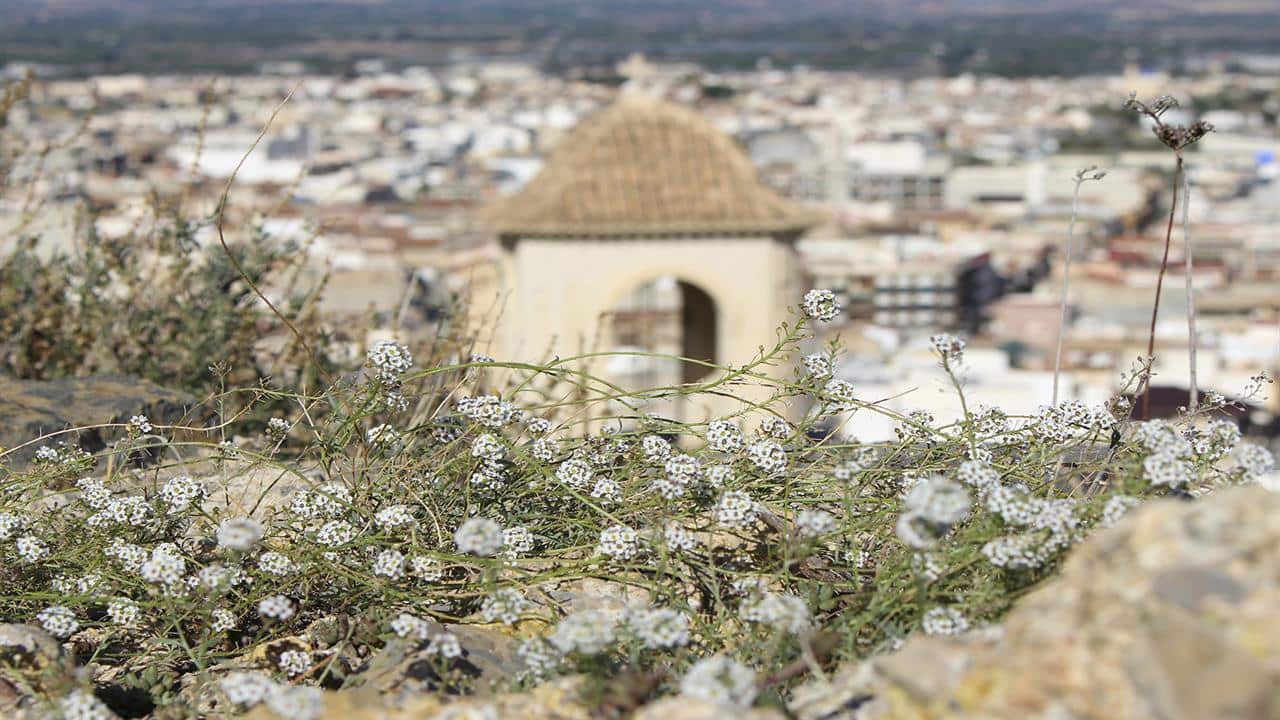 2 soveværelse Rækkehus til salg i Cox med swimmingpool - € 219.000 (Ref: 8576356)