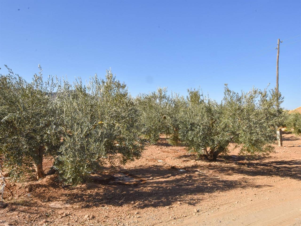 3 sypialnia Willa na sprzedaż w Huercal-Overa - 159 900 € (Ref: 8615056)