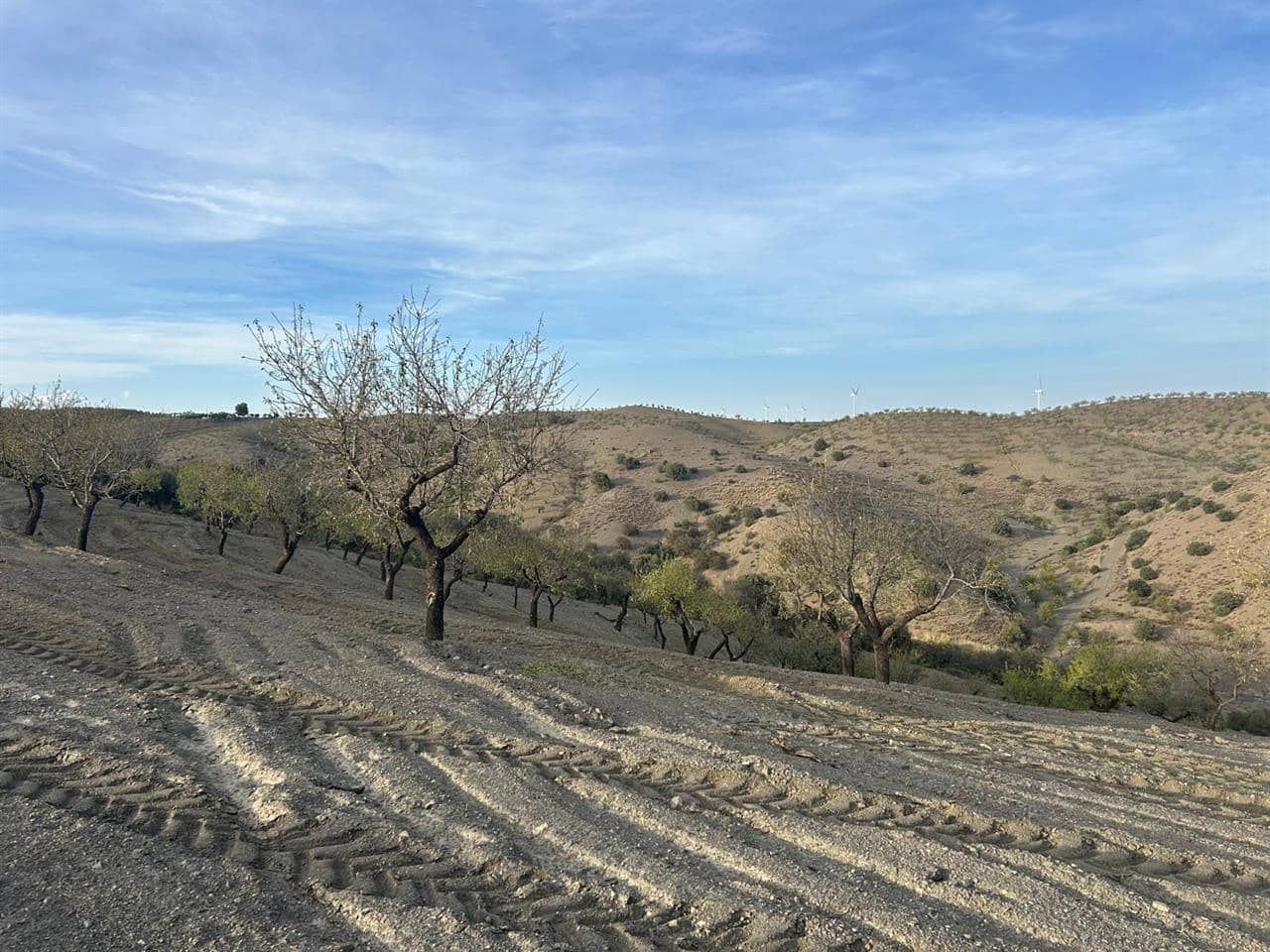 Byggegrund til salg i Velez-Rubio - € 50.000 (Ref: 8952495)