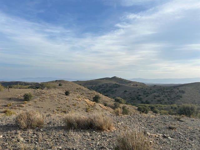 Byggegrund til salg i Vélez-Rubio - € 50.000 (Ref: 8952495)