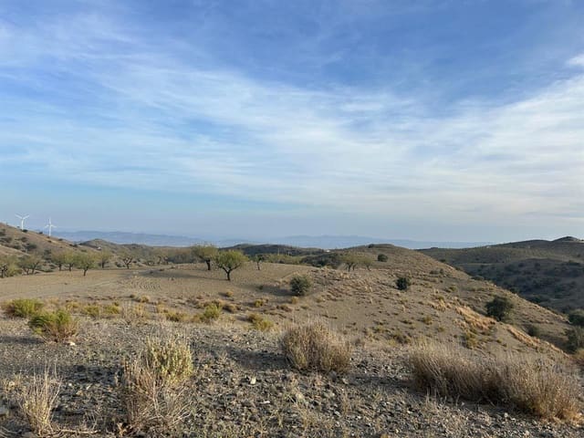 Byggegrund til salg i Vélez-Rubio - € 50.000 (Ref: 8952495)