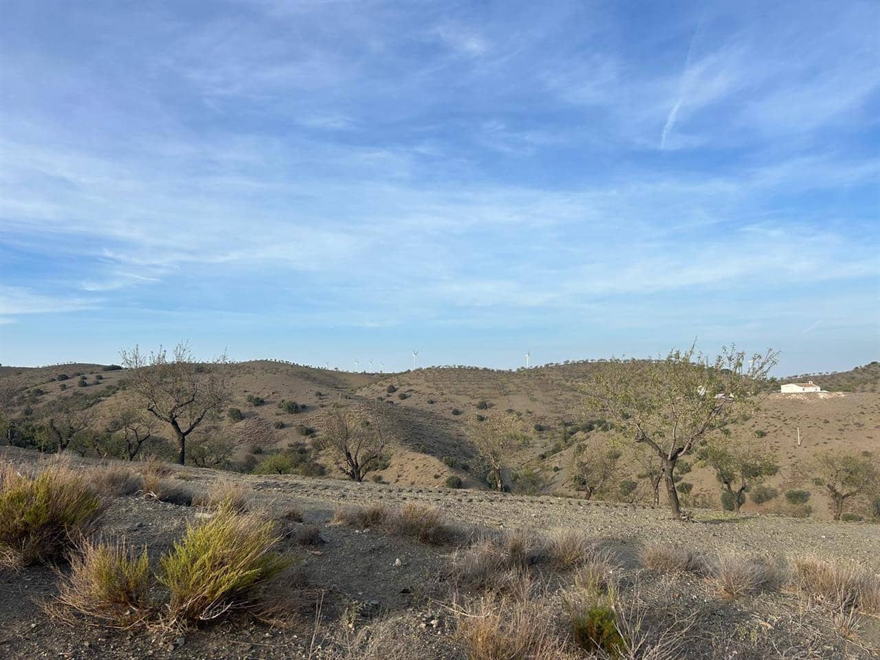 Byggegrund til salg i Velez-Rubio - € 50.000 (Ref: 8952495)