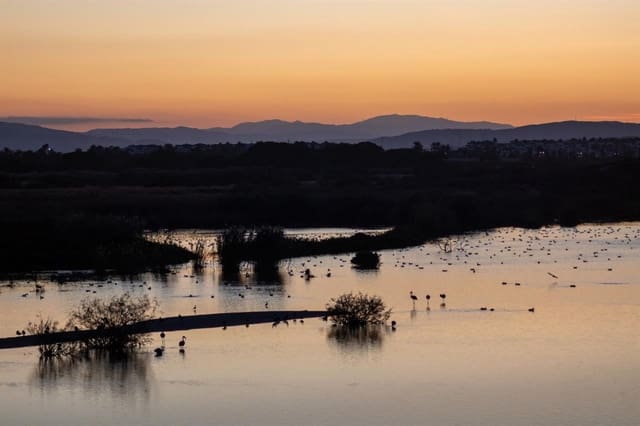 Building Plot for sale in Cala Marqués, Vera - € 160,000 (Ref: 8954114)