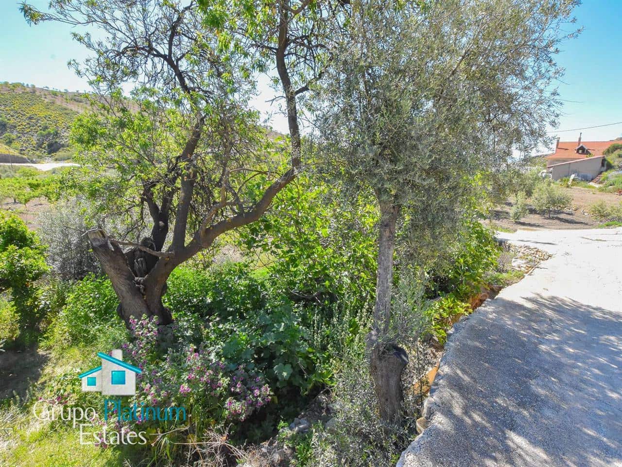 1 sovrum Villa till salu i Albox - 50 000 € (Ref: 8992572)