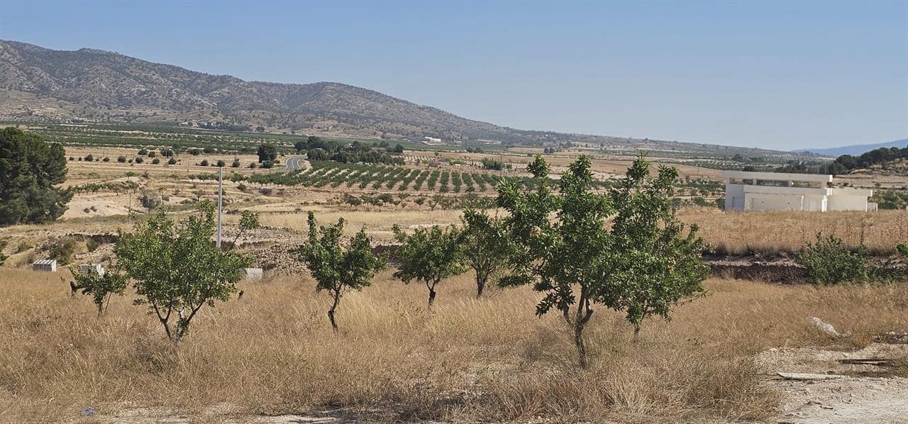 3 soveværelse Villa til salg i Torre del Rico med swimmingpool - € 325.000 (Ref: 9165635)