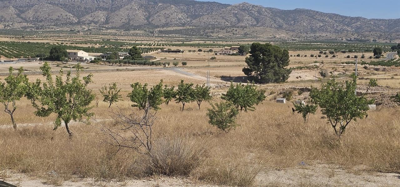 3 soveværelse Villa til salg i Torre del Rico med swimmingpool - € 325.000 (Ref: 9165635)