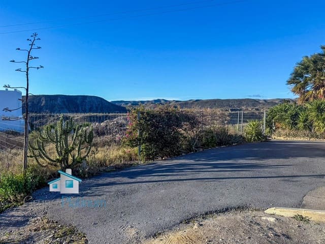 Terreno para Construção para venda em Santopétar, Taberno - 25 000 € (Ref: 9536061)